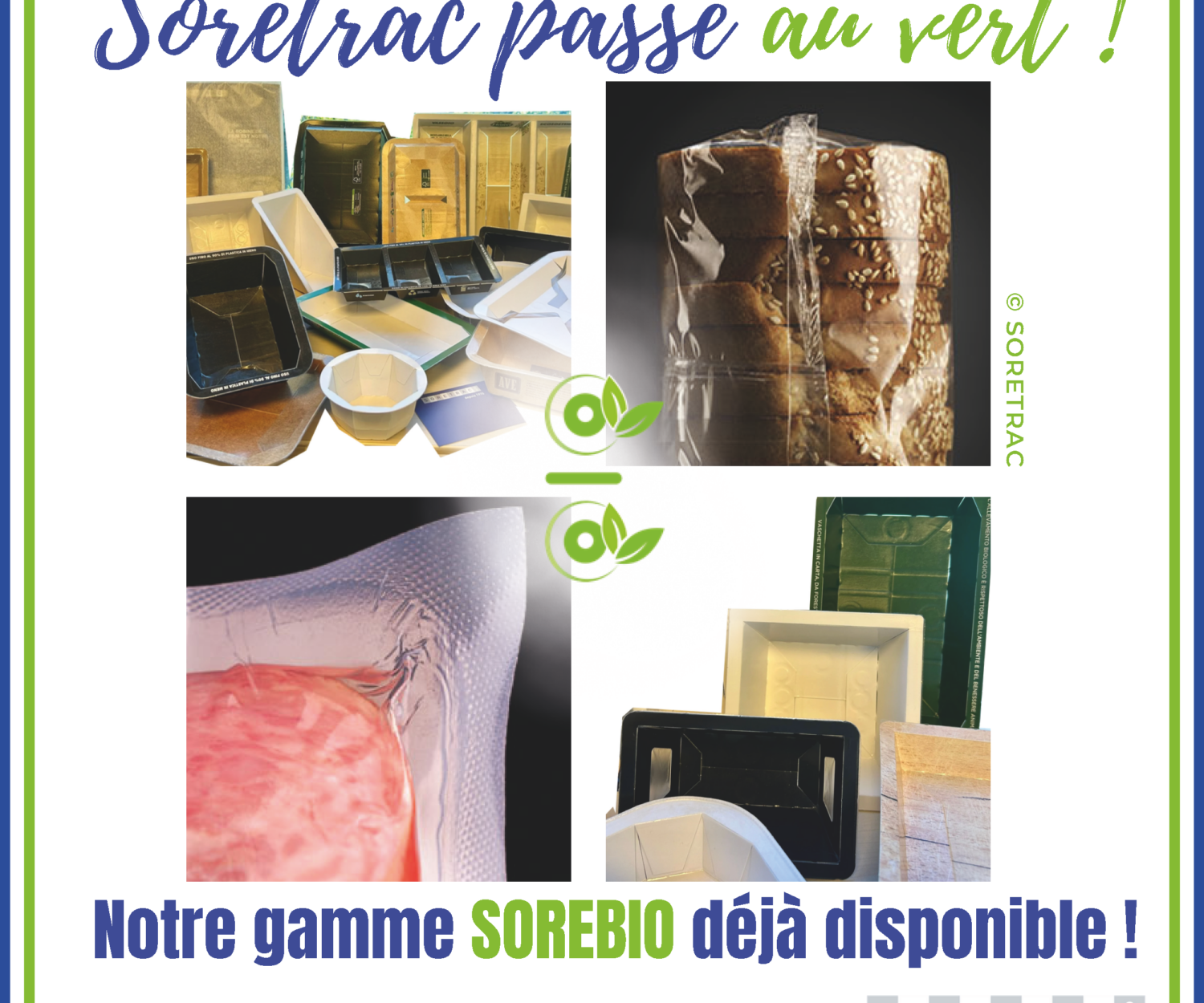 publication linkdin post 1