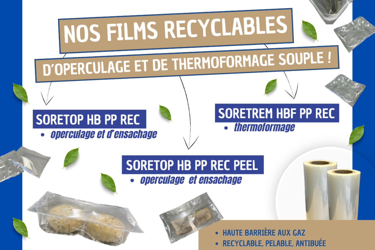 publication 06 02 25 (hb pp rec)