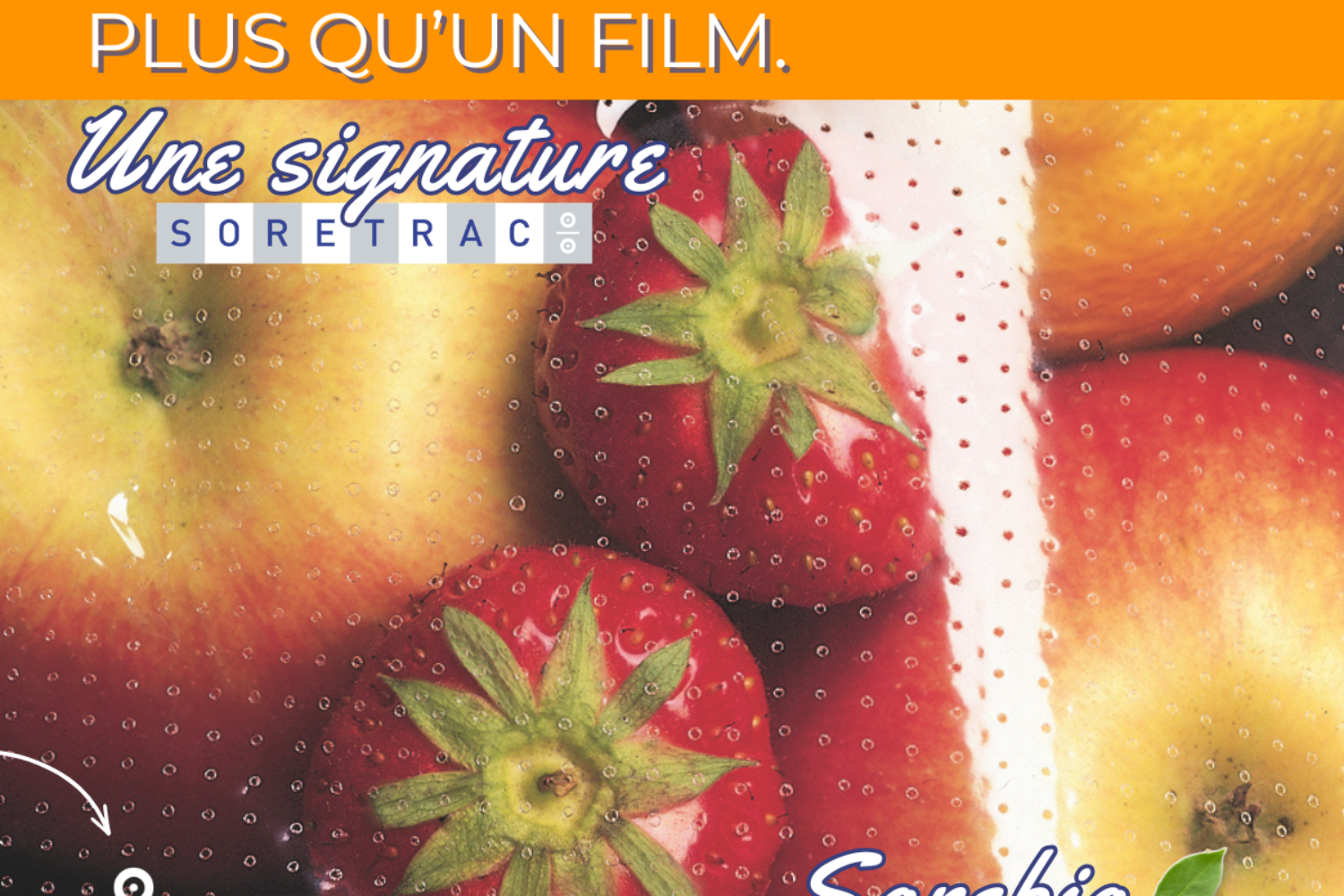 post linkedin 11 02 2026