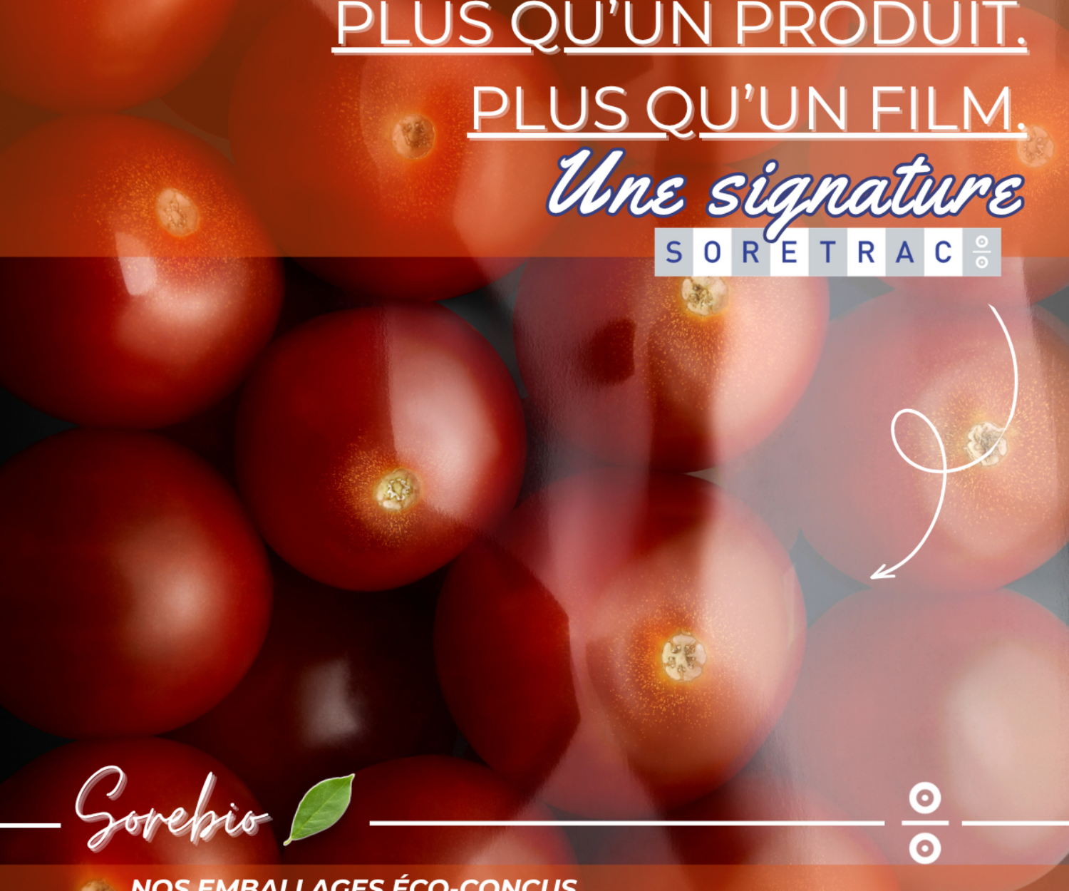publication linkdin sorebio